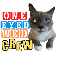 One Eyed Cat Sticker
