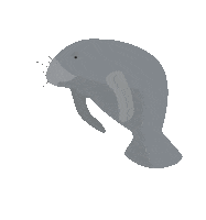 Marine Life Mermaid Sticker by Morris Animal Foundation