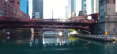 chicago illinois GIF