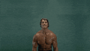 arnold schwarzenegger cat GIF