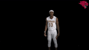 basketball d3hoops GIF by CUCougars