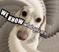 We Know GIF