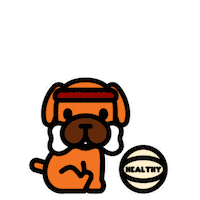 Boxer Dog Sport Sticker
