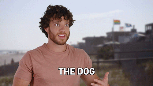 Tv Show Reaction GIF by LogoTV