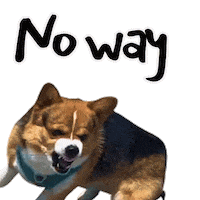 Corgi Milo Sticker