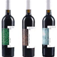 Wine Vino Sticker by rgmx.mx