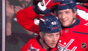 Happy Washington Capitals GIF by NHL