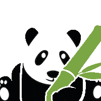gopandoo wink panda bamboo zwinkern Sticker
