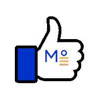Fb Fblike Sticker by Meridian°