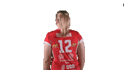 Sport Volleyball Sticker by LP Viesti