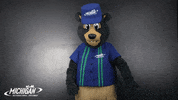 MISpeedway dancing nascar flossing brooks GIF