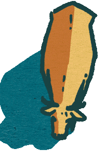 Wirackernfürdich Sticker by Bioland e.V.