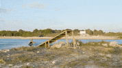 espn fun GIF by X Games 