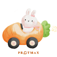 Páscoa Sticker by Protmax