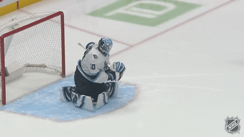 National Hockey League Dancing GIF by NHL