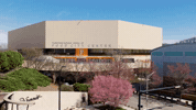 Basketball College GIF by Tennessee Athletics