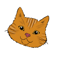 Cat Pets Sticker by The Way Home SPCA