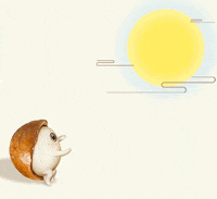 AusMacadamias macadamias macadamia nuts GIF