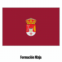 Flag Spain GIF by Formación Ninja