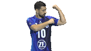 Nikola Pekovic Brain Sticker by vfb_volleyball
