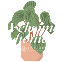refineresidential home plant sold plants Sticker