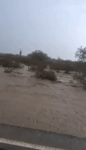 Heavy Rains Cause Flash Flooding in Arizona