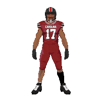 South Carolina Gamecocks Football Sticker by Panini America