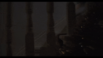 broxbourneboy feet stairs creep tiptoe GIF