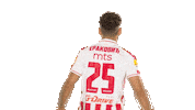 Red Star Football Sticker by FK Crvena zvezda