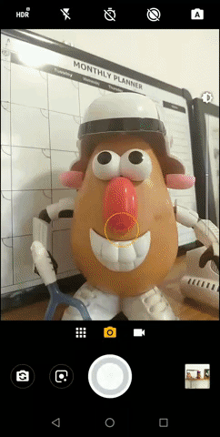 Animated GIF
