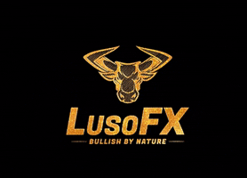 lusofx trading forex forexcourse forexportugal GIF