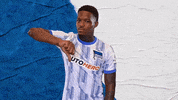 Bundesliga Berlin GIF by Hertha BSC