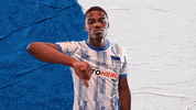 Bundesliga Berlin GIF by Hertha BSC