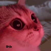 My Eyes Love GIF by Bashar