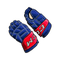 Illustration Hockey Sticker by New York Rangers