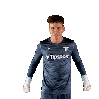 Celebration Goalkeeper Sticker by Nike liga