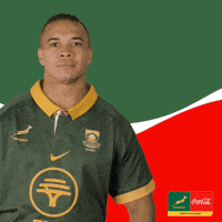 Coke Springboks GIF by The Coca-Cola Company Africa