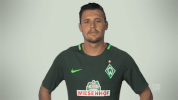 football soccer GIF by Bundesliga