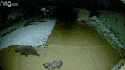 GIF by yvrairport