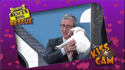 Stephen Colbert Puppies GIF by The Late Show With Stephen Colbert