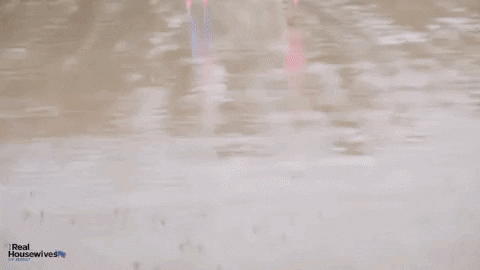 Party Reaction GIF by Real Housewives of Jersey