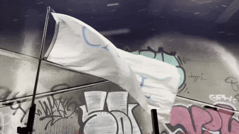 Martial Arts Success GIF by Casol