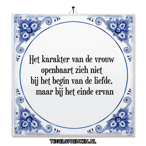 Nl Reflectie Sticker by Tegelspreuken.nl