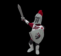 govaliants manhattanville valiants govaliants rollvals GIF