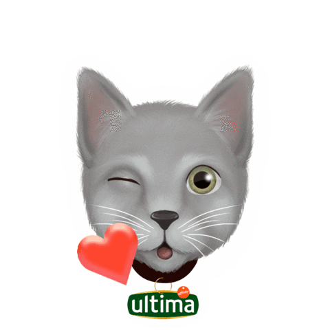 Ultimadeaffinity Sticker by Affinity