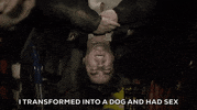 i transformed into a dog and had sex GIF by What We Do In The Shadows