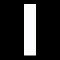White Rabbit GIF by Komplex
