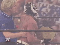 rey mysterio win GIF by WWE