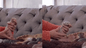 cat GIF by MOST EXPENSIVEST