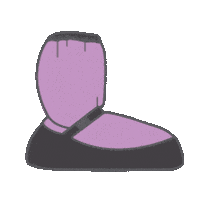 Ballet Bota Sticker by RollerDanz